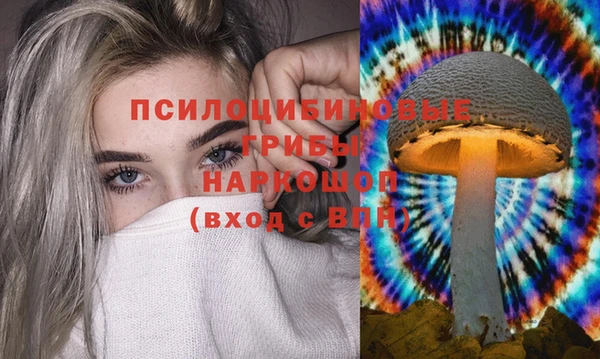 не бодяженный Алзамай